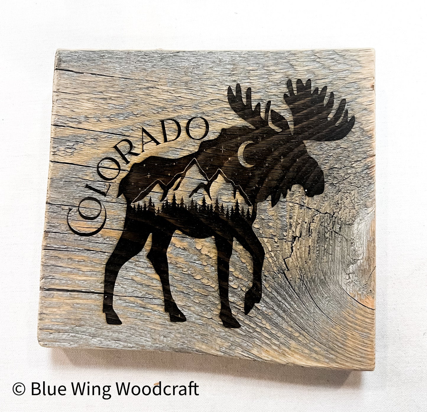 Sign, Moose Colorado