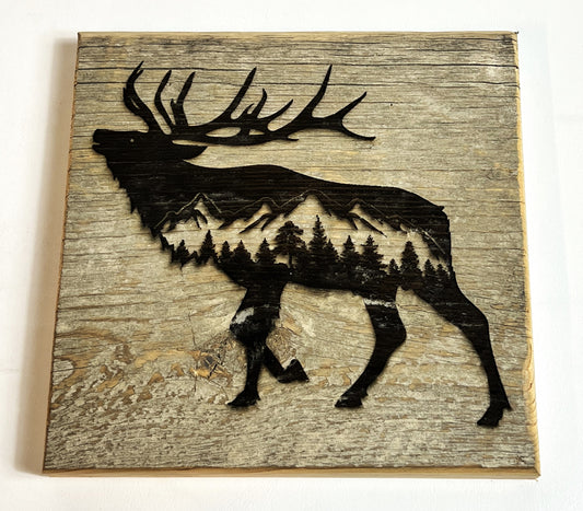 Sign, Forest Elk