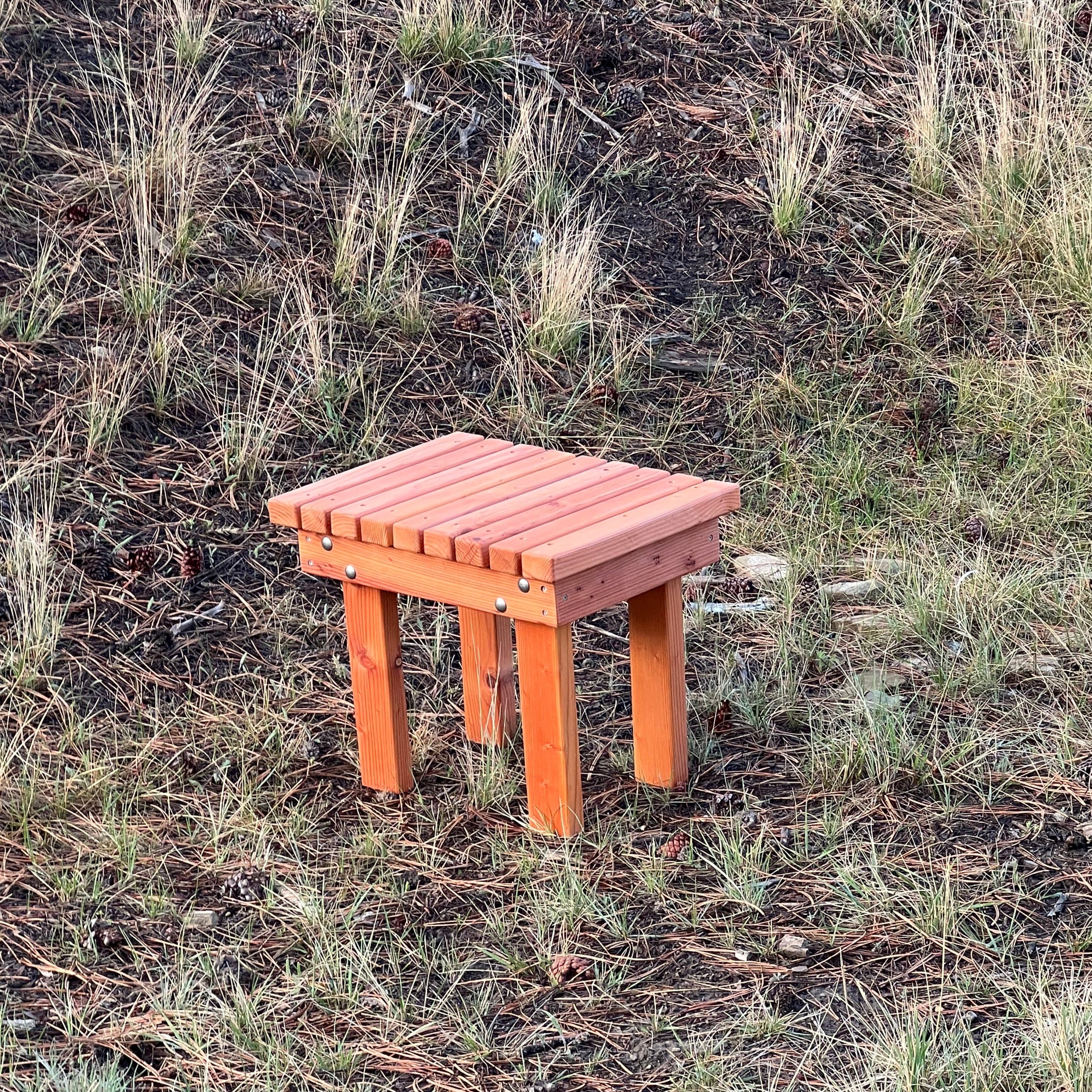 Small Adirondack Table Blue Wing Woodcraft   IMG 8904 